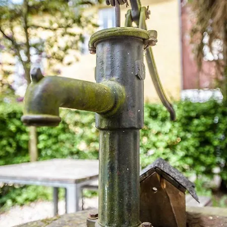 Nengshof Ferienwohnungen Mohnblume Und Kornblume Wißmannsdorf Buitenkant foto