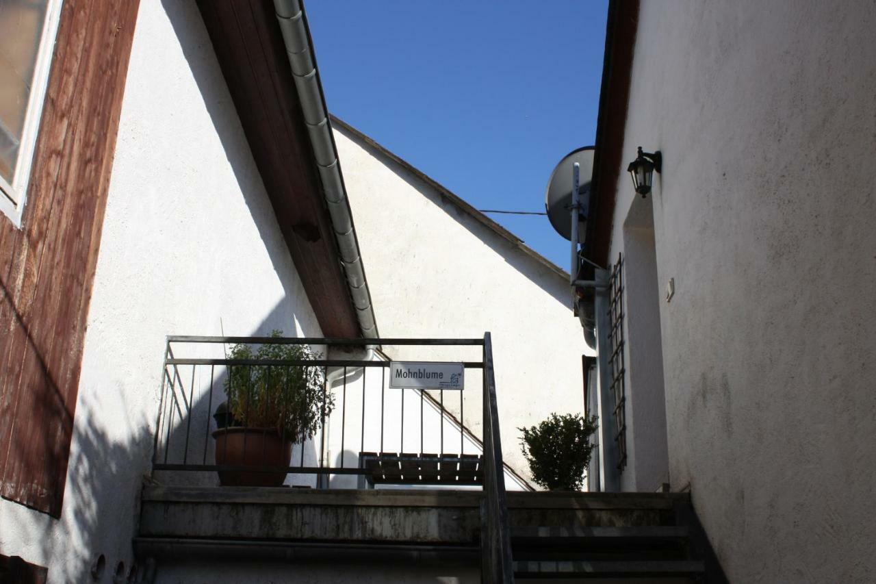 Nengshof Mohnblume Und Kornblume Wissmannsdorf