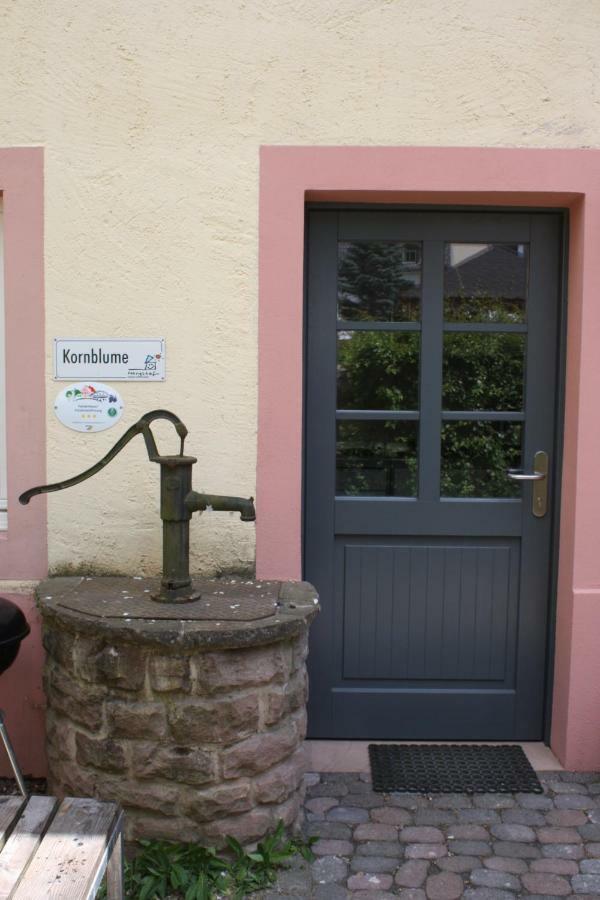 Appartement Nengshof Mohnblume Und Kornblume